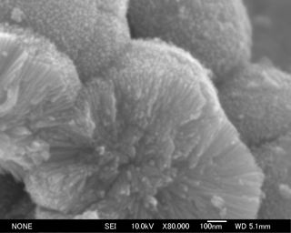 Electron microscope photograph (SEM)
